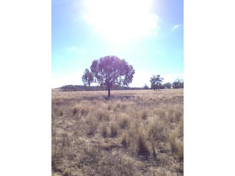 “Westholme”, Warialda NSW 2402