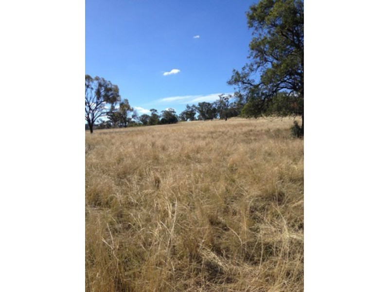 “Westholme”, Warialda NSW 2402