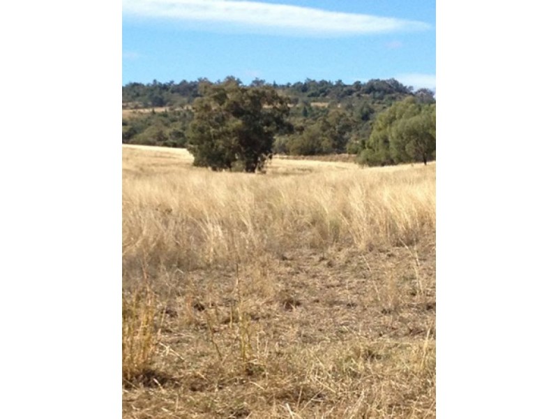 “Westholme”, Warialda NSW 2402