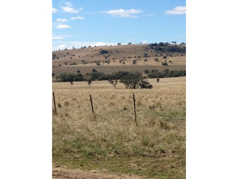 “Westholme”, Warialda NSW 2402