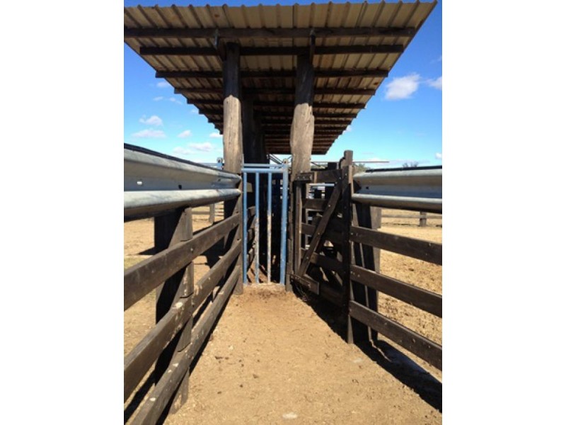 “Westholme”, Warialda NSW 2402