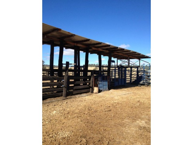 “Westholme”, Warialda NSW 2402