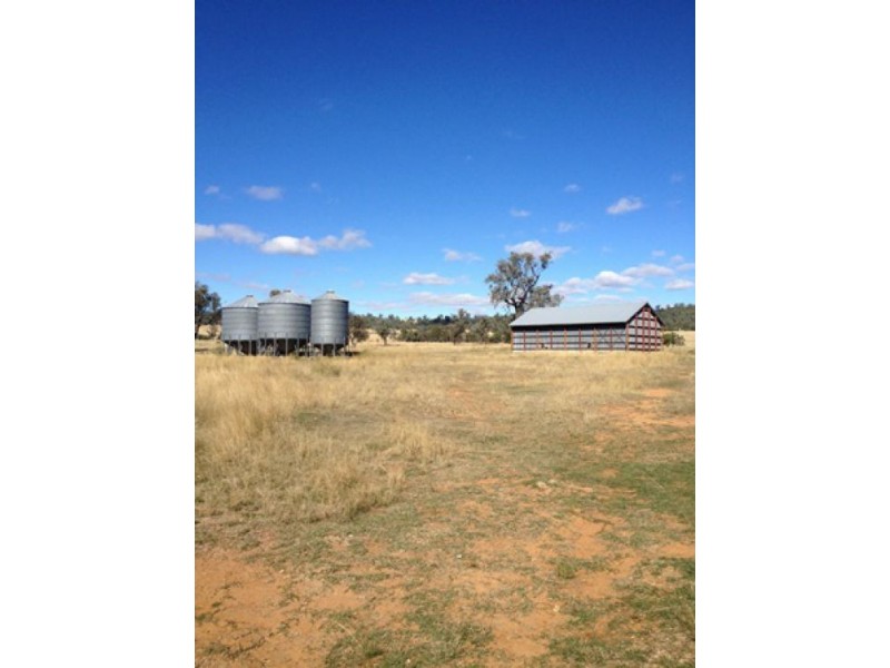 “Westholme”, Warialda NSW 2402