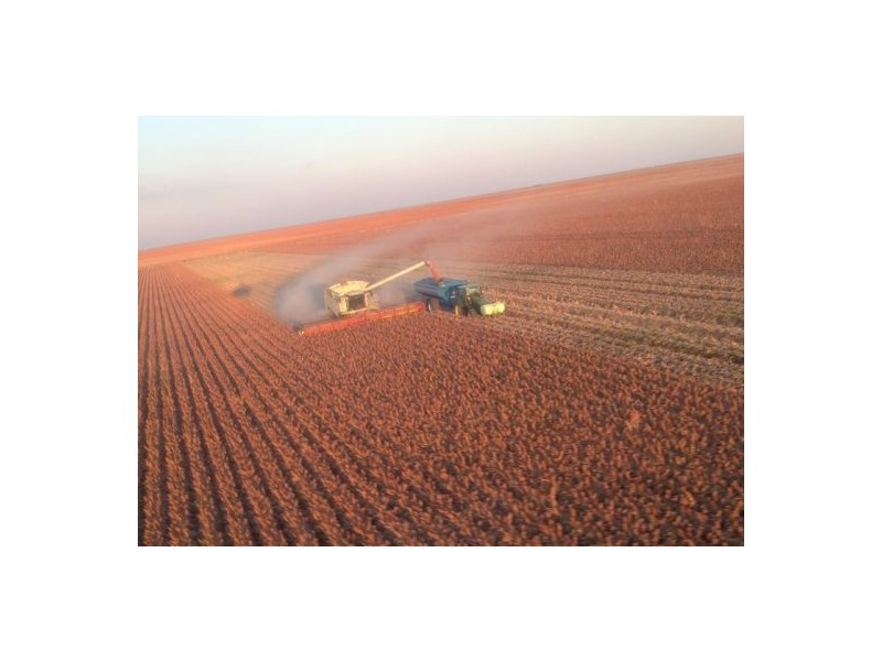 “Ravensworth”, Hay NSW 2711