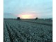 “Ravensworth”, Hay NSW 2711