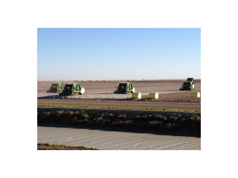 “Ravensworth”, Hay NSW 2711