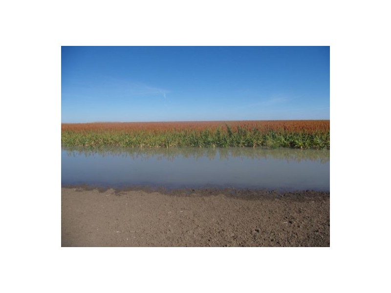 “Ravensworth”, Hay NSW 2711