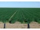 “Ravensworth”, Hay NSW 2711