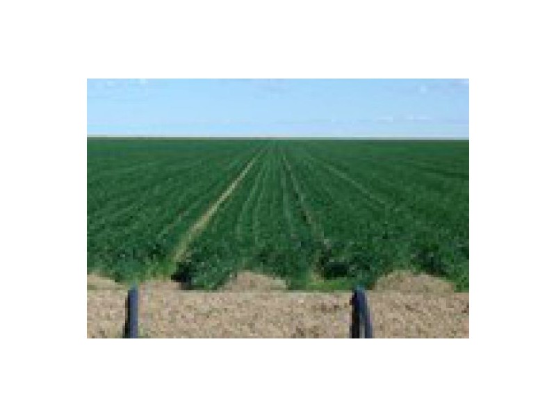 “Ravensworth”, Hay NSW 2711