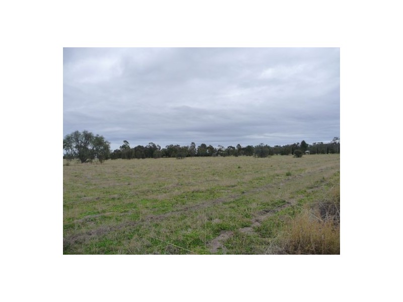 Lot 15 Kooroogamma Road, Moree NSW 2400
