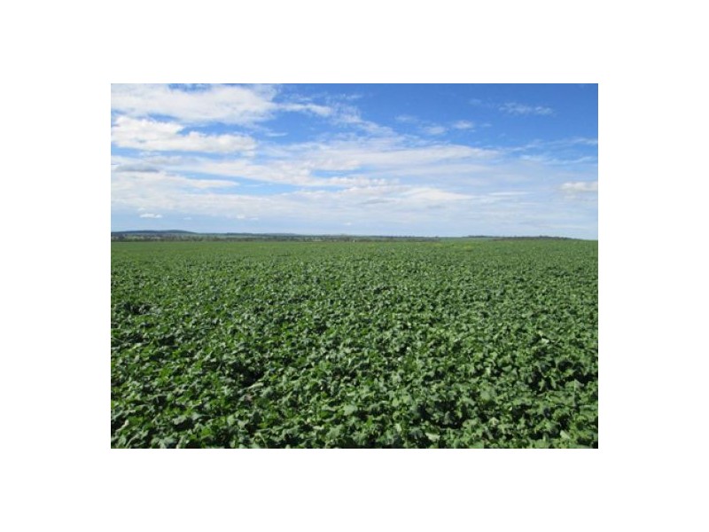 “Rawdon” and Part “Dunnollie”, Croppa Creek NSW 2411