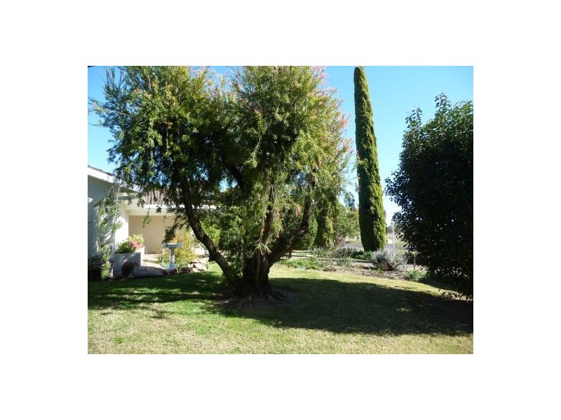 150 Gwydir Street, Moree NSW 2400