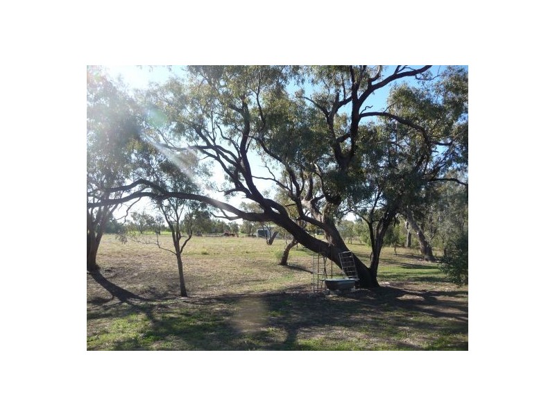 Lot 11 Tarrawingee Road, Moree NSW 2400