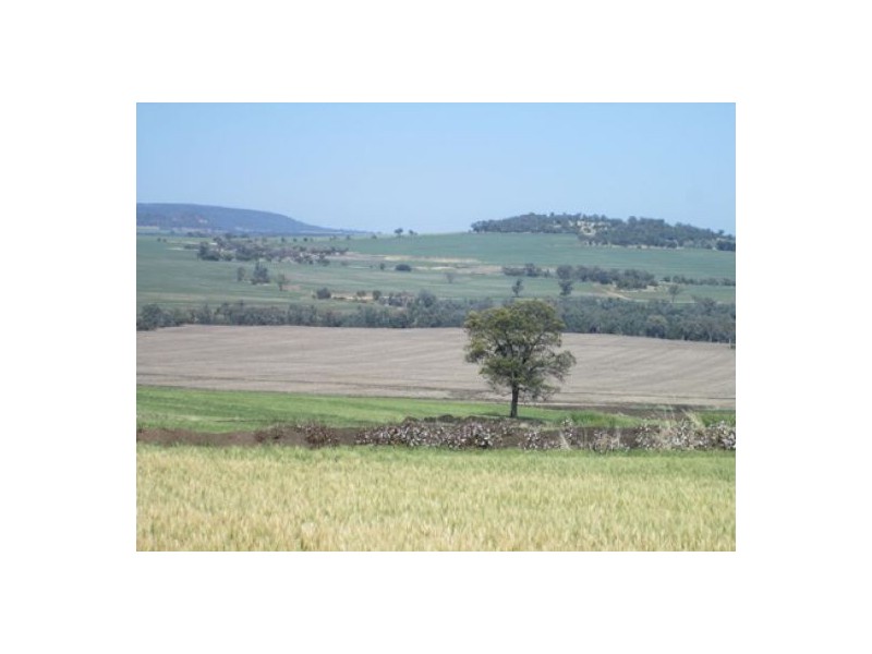 “Boomerang”, Bellata NSW 2397