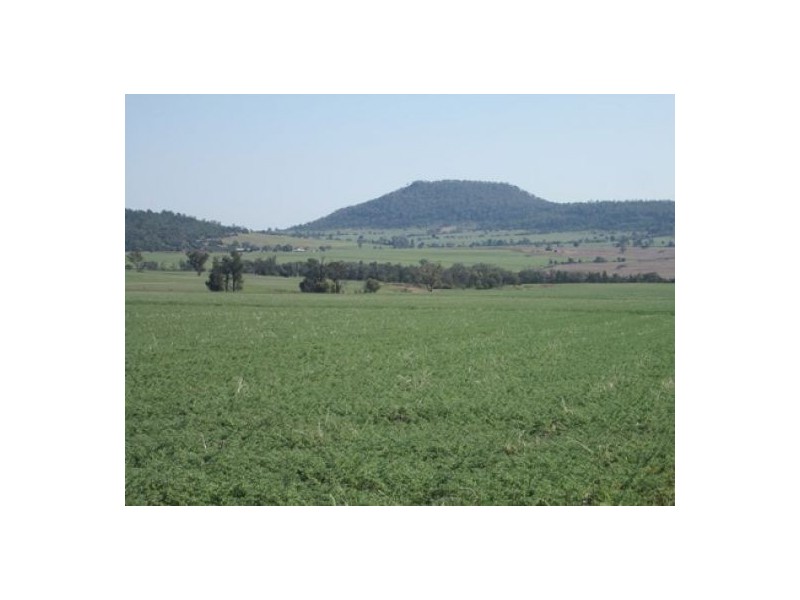 “Boomerang”, Bellata NSW 2397