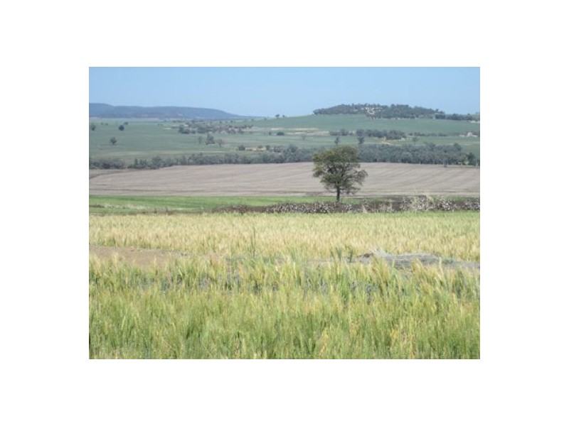 “Boomerang”, Bellata NSW 2397