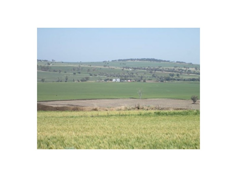 “Boomerang”, Bellata NSW 2397