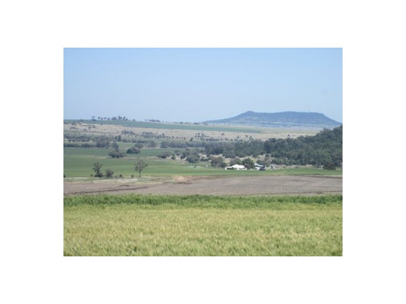 “Boomerang”, Bellata NSW 2397