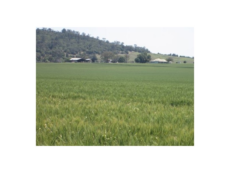 “Boomerang”, Bellata NSW 2397