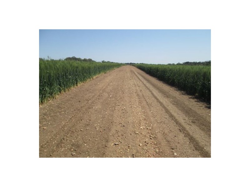 “Boomerang”, Bellata NSW 2397