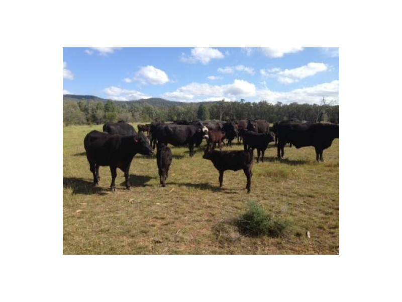 . “Greenmount”, Bellata NSW 2397