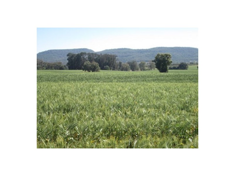 . “Greenmount”, Bellata NSW 2397