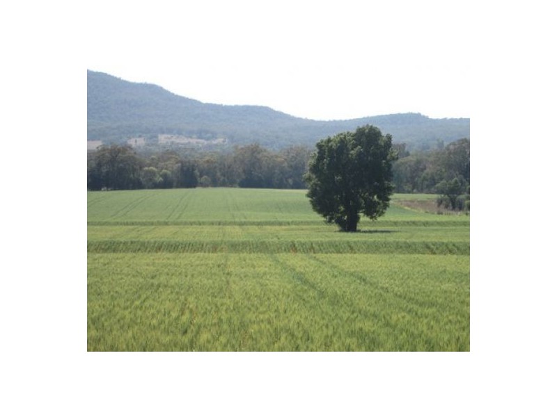 . “Greenmount”, Bellata NSW 2397