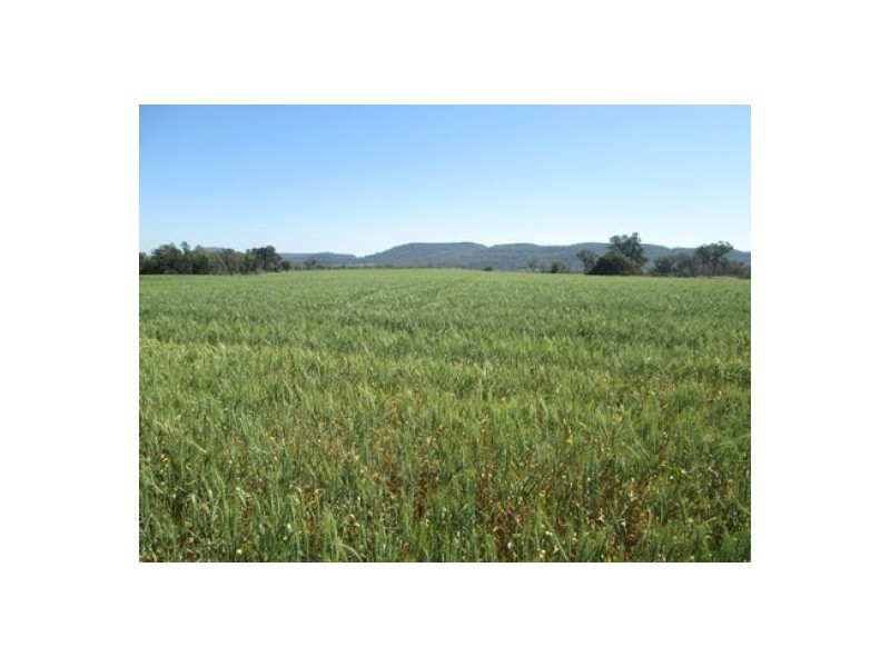 . “Greenmount”, Bellata NSW 2397