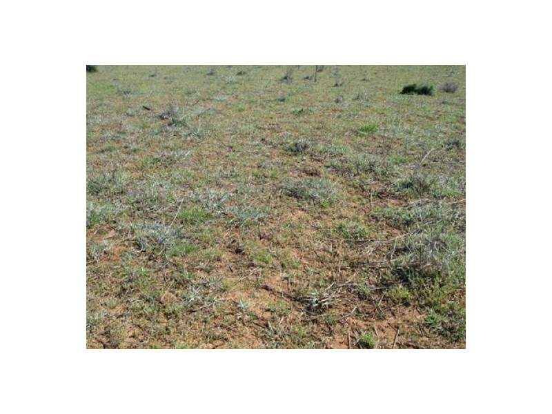 . “Greenmount”, Bellata NSW 2397