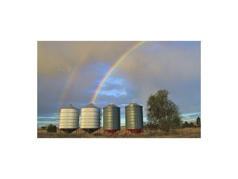 “Byron Downs”, Gravesend NSW 2401