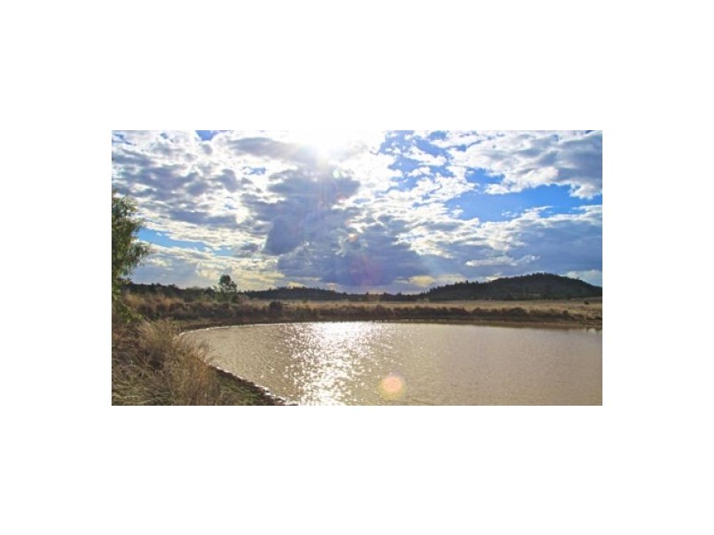 “Byron Downs”, Gravesend NSW 2401