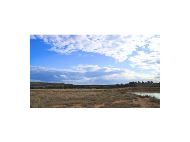 “Byron Downs”, Gravesend NSW 2401