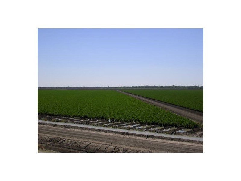 “Garrawilla”, Mungindi NSW 2406