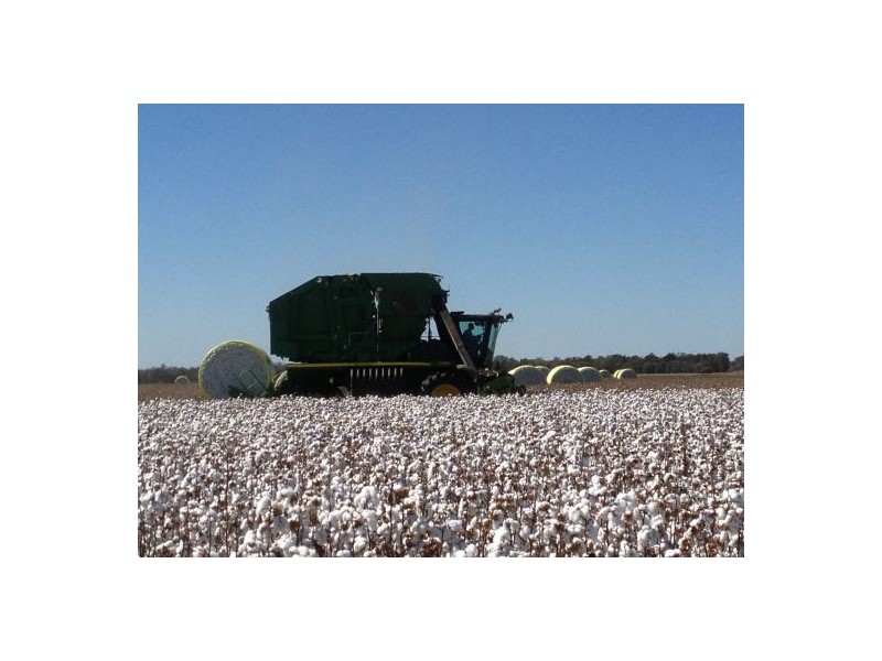 “Garrawilla”, Mungindi NSW 2406