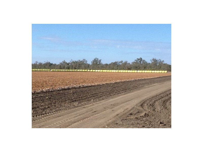 “Garrawilla”, Mungindi NSW 2406