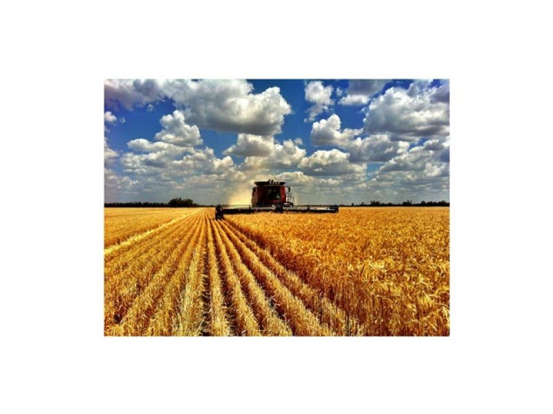 “Bullerana”, Moree NSW 2400