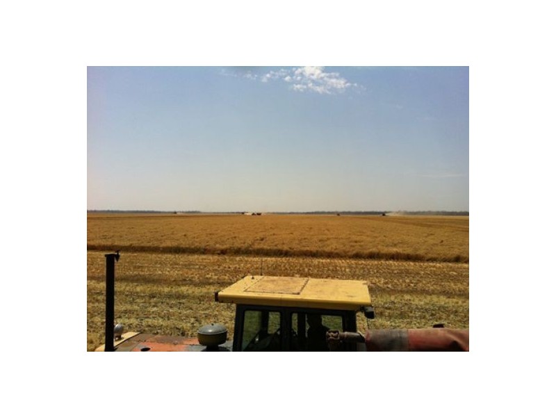 “Bullerana”, Moree NSW 2400