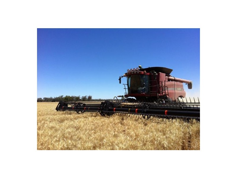 “Bullerana”, Moree NSW 2400