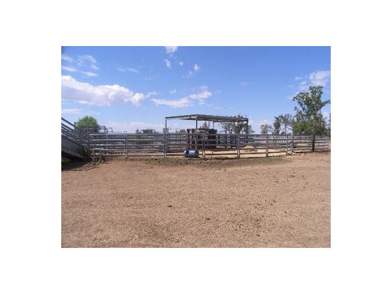 “Bullerana”, Moree NSW 2400