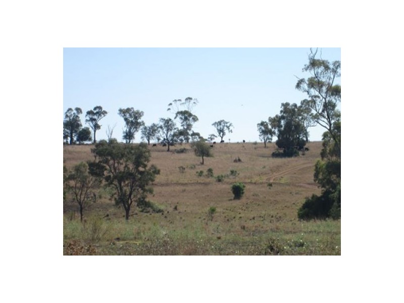 “Fairview”, Yallaroi NSW 2408