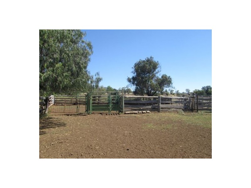 “Fairview”, Yallaroi NSW 2408