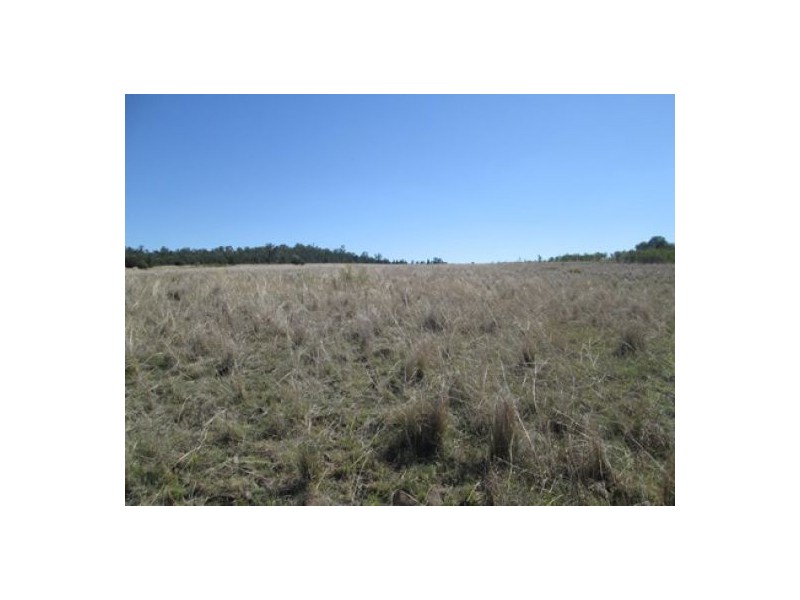 “Fairview”, Yallaroi NSW 2408