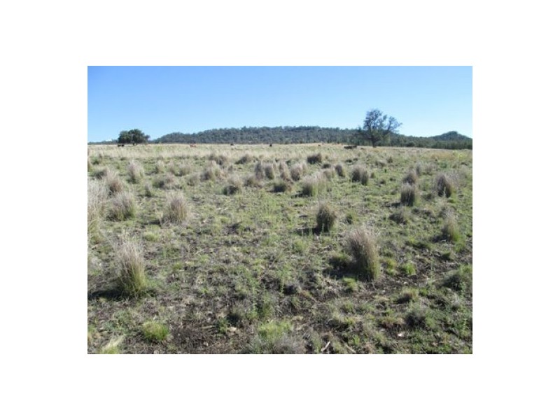 “Fairview”, Yallaroi NSW 2408