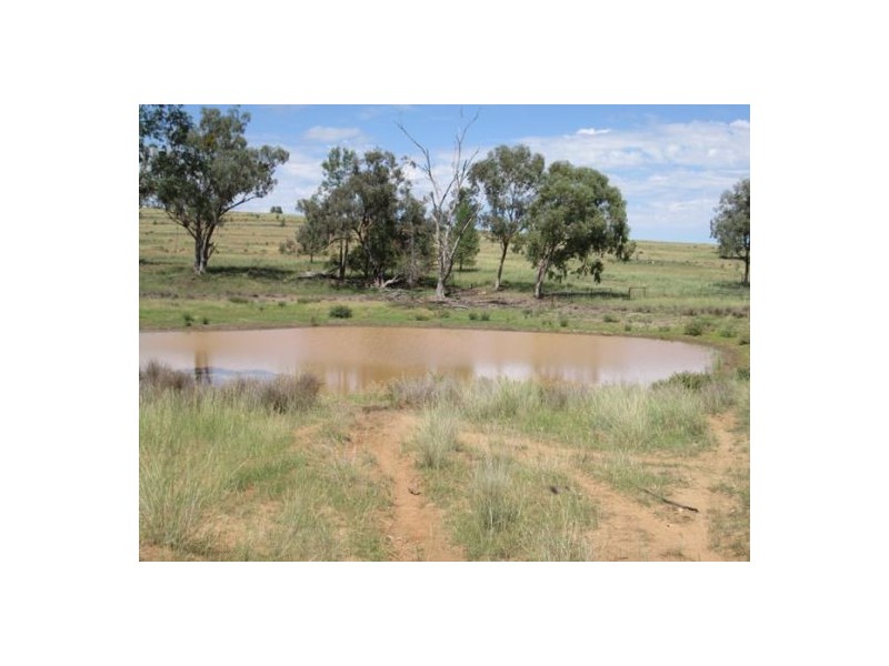 “Redam”, Warialda NSW 2402