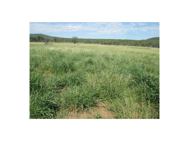 “Redam”, Warialda NSW 2402