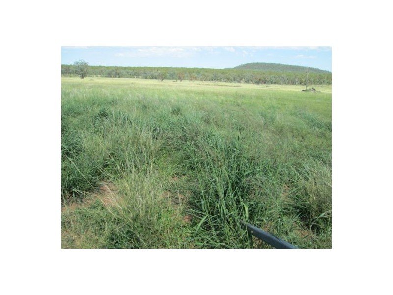 “Redam”, Warialda NSW 2402