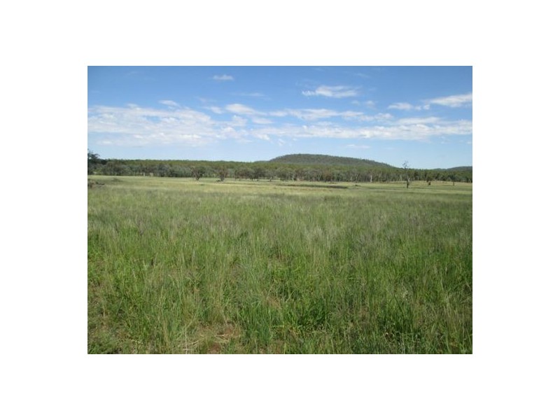 “Redam”, Warialda NSW 2402