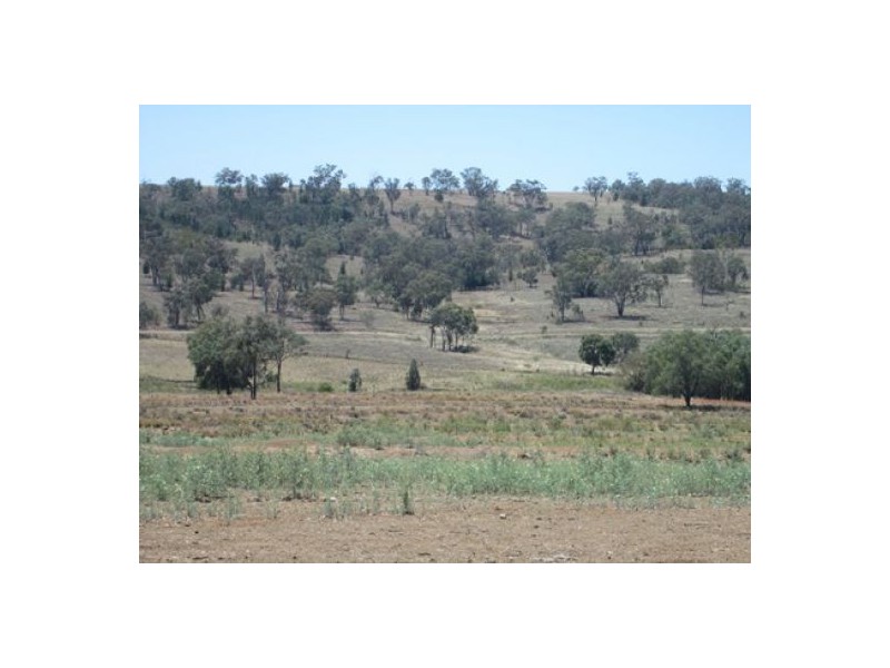 “Redam”, Warialda NSW 2402