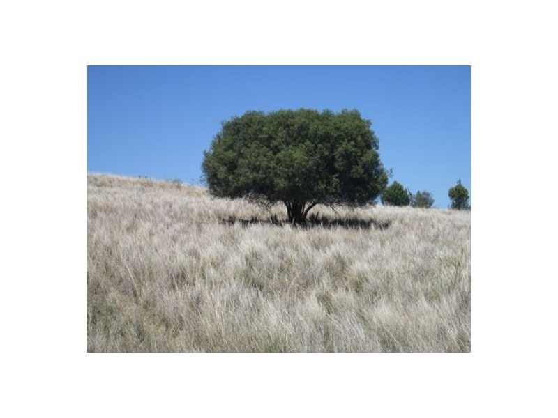 “Redam”, Warialda NSW 2402