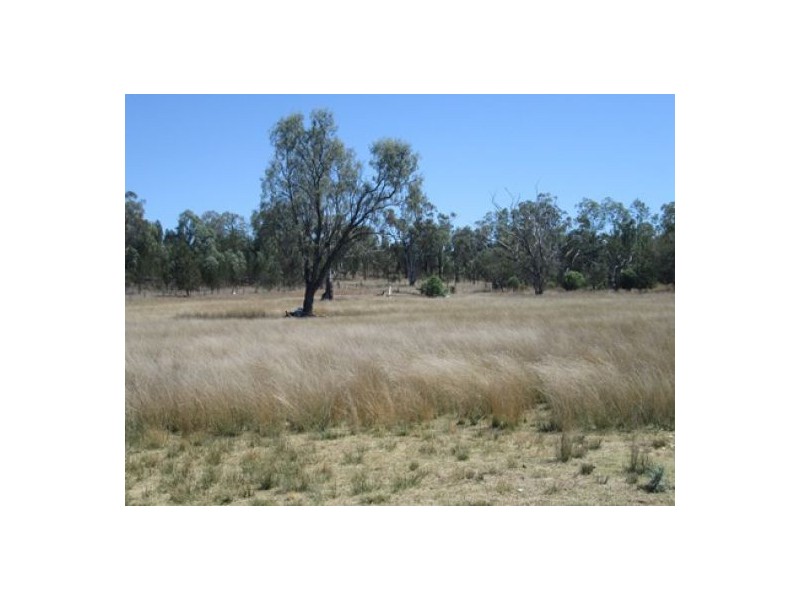 “Redam”, Warialda NSW 2402